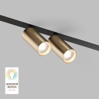 Трековый светодиодный светильник Denkirs Smart Spot DK8012-BG