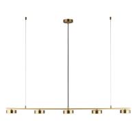 Подвесная светодиодная люстра Aployt Usia APL.047.13.35