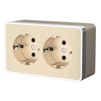 Розетка Werkel двойная с заземлением Gallant шампань рифленый W5072110 4690389164682