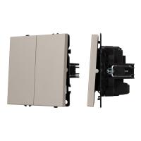 Механизм выключателя двухклавишный перекрёстный SWT-NOBE-MKX2-SFPL-CA (230V, 10A) Arlight 061791