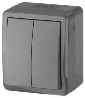 Выключатель двухклавишный ЭРА Эксперт 10AX 250V IP54 11-1404-03 Б0020676 Выключатель двухклавишный ЭРА Эксперт 10AX 250V IP54 11-1404-03 Б0020676