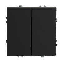 Выключатель двухклавишный Stekker Эмили черный уголь RSW10-5104-05 49840