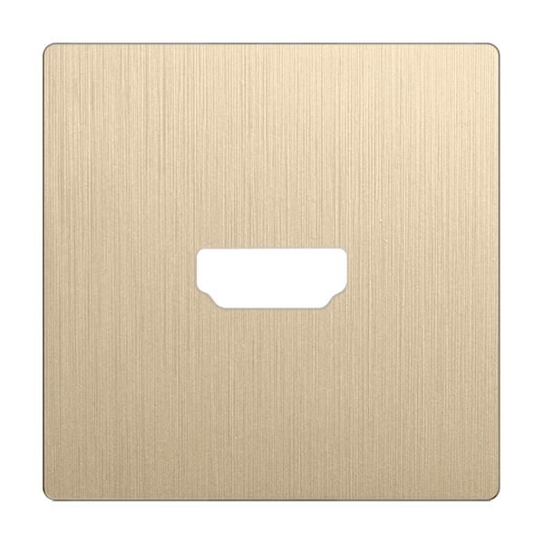 Накладка Werkel для розетки HDMI шампань рифленый WL10-HDMI-CP 4690389128332