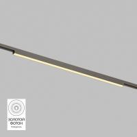 Трековый светодиодный светильник Denkirs Shine Linear DK5752-DN