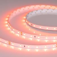 Светодиодная лента RT-A60-8mm 24V Carrot (4.8 W/m, IP20, 5m) Arlight 055375
