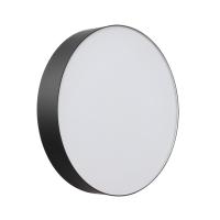 Настенно-потолочный светильник Sonex BASICA 7780/DLN