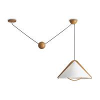 Потолочный светильник Freya Modern FR5554CL-01T