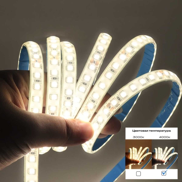 Светодиодная лента ST Luce 9,6W/m 2835SMD 4000К 5M ST5001.410.20