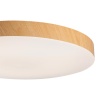 Светильник Sonex Mitra Led 7761/24L