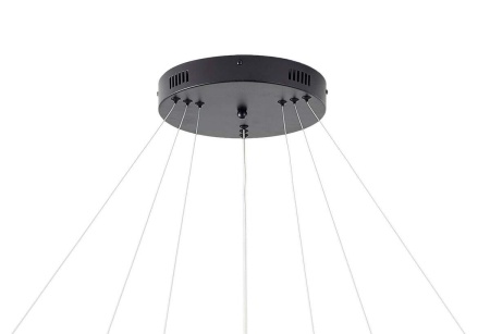 Подвесная светодиодная люстра Zortes RINGOLIGHT ZRS.33320.120C
