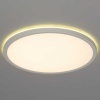 Потолочный светодиодный светильник Citilux Basic Line CL738320EL