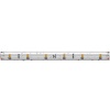 Светодиодная лента Maytoni Led Strip 201181