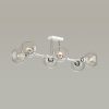 Потолочная люстра Lumion Moderni Alana 4517/6C