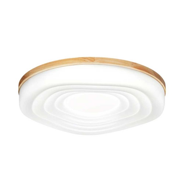 Настенно-потолочный светильник Sonex FASS WOOD 7674/DL