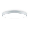 Потолочный светильник Freya Сприда / Sprida FR6129CL-L80GR