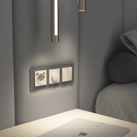 Диммер Werkel айвори матовый W1142062 4690389191947