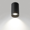 Потолочный светильник Citilux Axel CL512111R