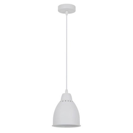 Подвесной светильник Arte Lamp Braccio A2054SP-1WH