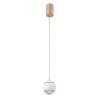 Подвесной светодиодный светильник Crystal Lux Caro SP Led White