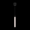 Подвесной светильник Maytoni Ray P022PL-L10B