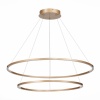 Подвесной светодиодный светильник ST Luce ST605.243.91