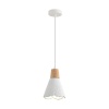Подвес Lumion EOLIANA 8352/1B