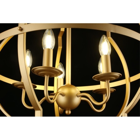 Подвесная люстра Aployt Sharlotta APL.664.03.05