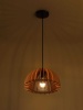 Подвесной светильник Rivoli Ivy 5111-201 Б0069914
