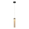 Подвесной светильник Lussole LOFT Floyd LSP-7172