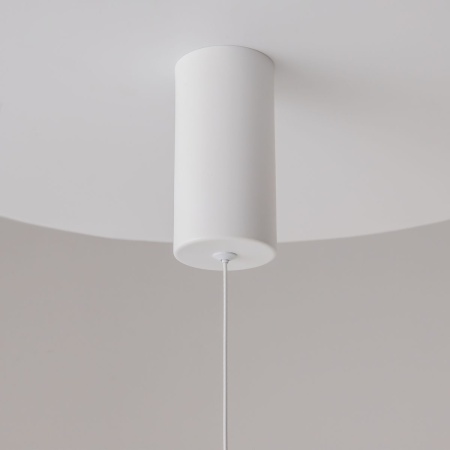 Подвесной светильник Maytoni Ray P022PL-L20W3K