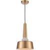 Подвесной светильник Vele Luce Appassionato VL2144P01