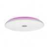 Потолочный светодиодный светильник iLedex Music 1706/600 WH