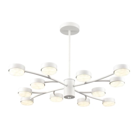 Люстра Lumion TORINA 8265/12