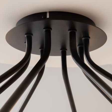 Потолочная люстра Maytoni Vigo MOD620CL-16B