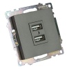 Розетка 2хUSB Stekker Катрин графит GLS10-7115-06 49422