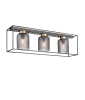 Потолочный светильник Vele Luce Morrison VL5472L03