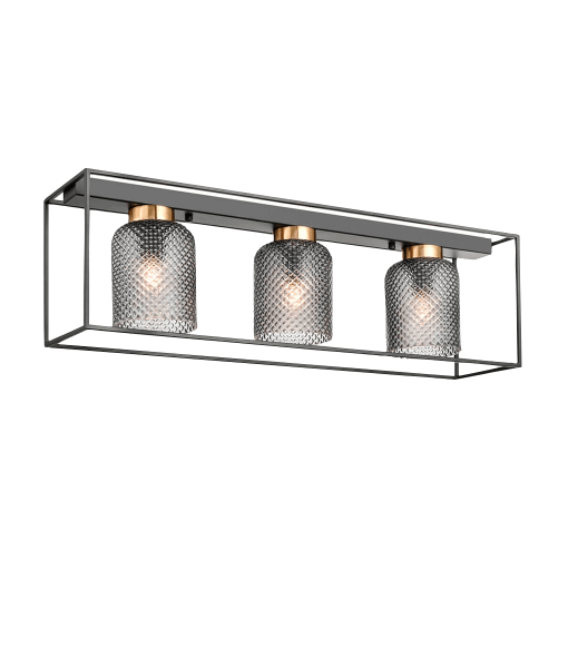 Потолочный светильник Vele Luce Morrison VL5472L03