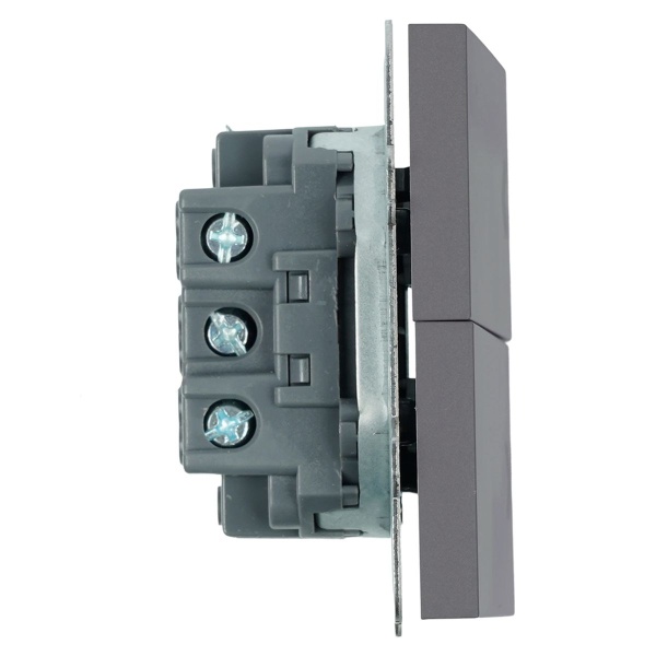 Выключатель 2-клавишный самовозвратный (механизм), Stekker, 250В, 10А Эмили, RSW10-5113-10, платиново-серый, soft touch 50329