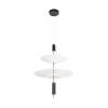 Подвесной светильник Loft IT Skylar 10244/B Black