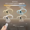 Потолочная светодиодная люстра Rivoli Letizia 6176-703 Б0068372