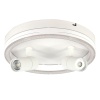 Потолочный светодиодный светильник Escada 20044SMA/03LED WH