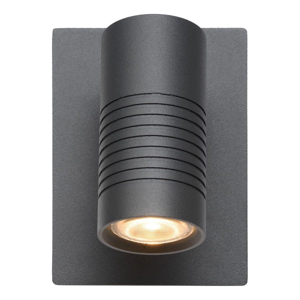 Уличный настенный светодиодный светильник Lucide Bran 27817/07/29