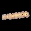 Настенный светильник Loft IT Alicante 10248/9W