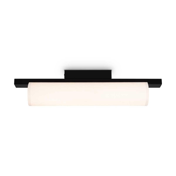 Потолочный светильник Freya Modern Even FR5625CL-L20B