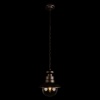 Уличный подвесной светильник Loft IT Piemonte 100022P