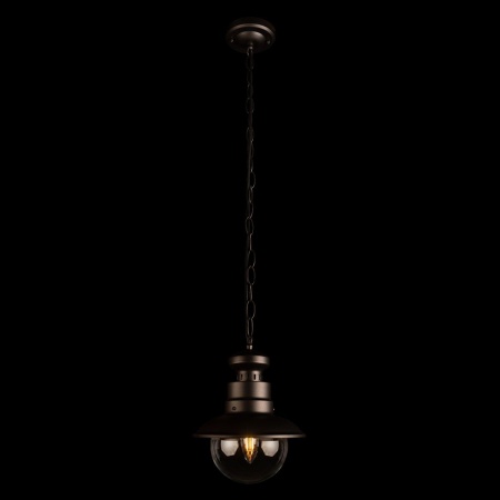Уличный подвесной светильник Loft IT Piemonte 100022P