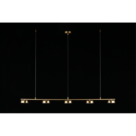 Подвесная светодиодная люстра Aployt Usia APL.047.13.35