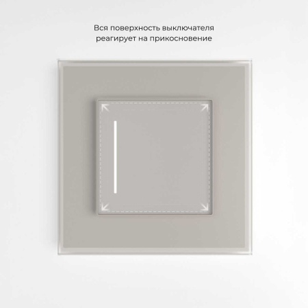 Сенсорный выключатель одноклавишный с подсветкой (дымчатый) W4512014/ a069762