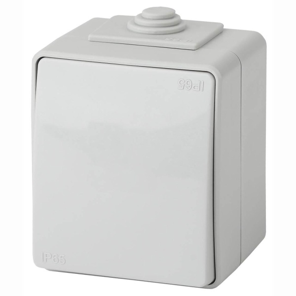 Переключатель одноклавишный ЭРА Эксперт 10AX 250V IP65 11-1603-03 Б0035975 Переключатель одноклавишный ЭРА Эксперт 10AX 250V IP65 11-1603-03 Б0035975