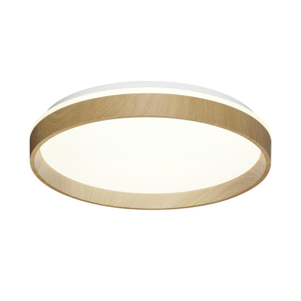 Настенно-потолочный светильник Sonex BASICA 7684/ELN